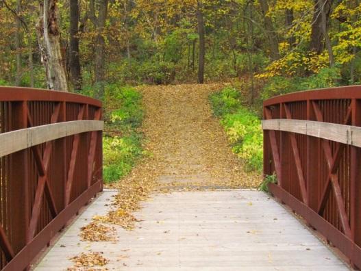 Top Five Hiking Trails Near Rochester, MN