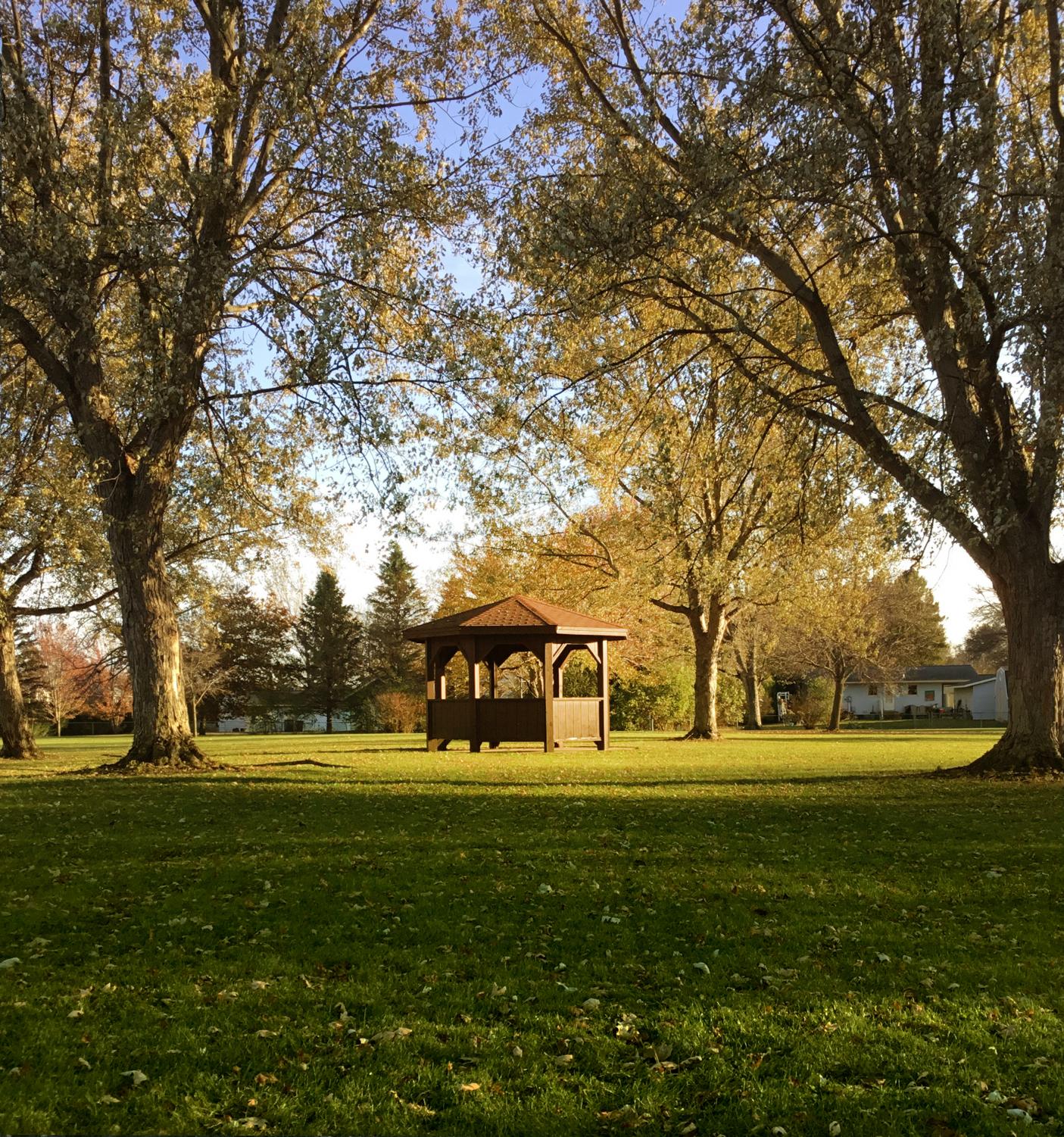 Bcch_AweinAutumn_10_29_20_2