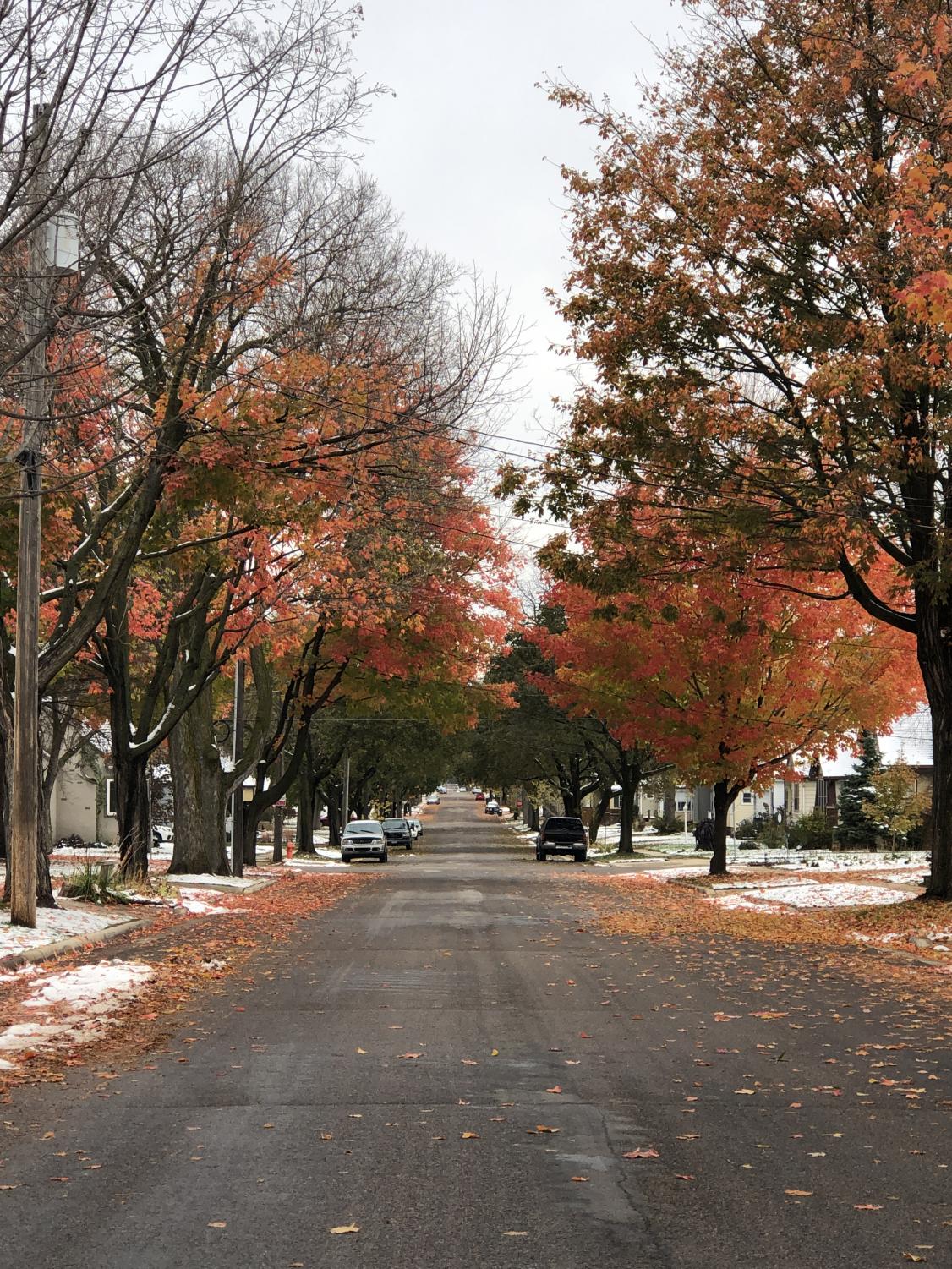 Emge_autumn_1015_5
