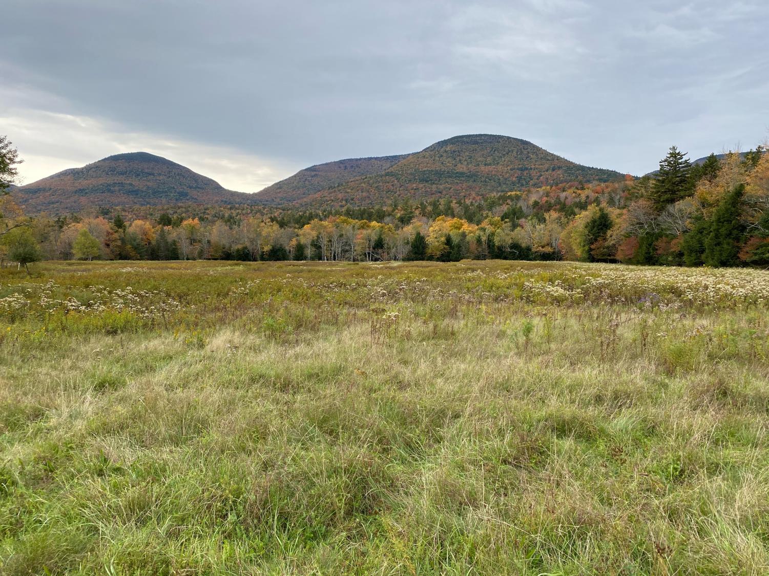 Niwj_autumn_1029_.1PNG (1)