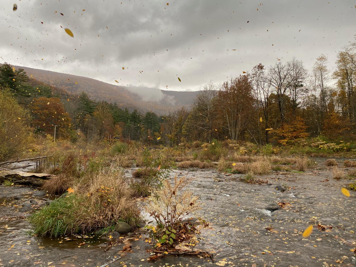Niwj_autumn_1029_.1PNG