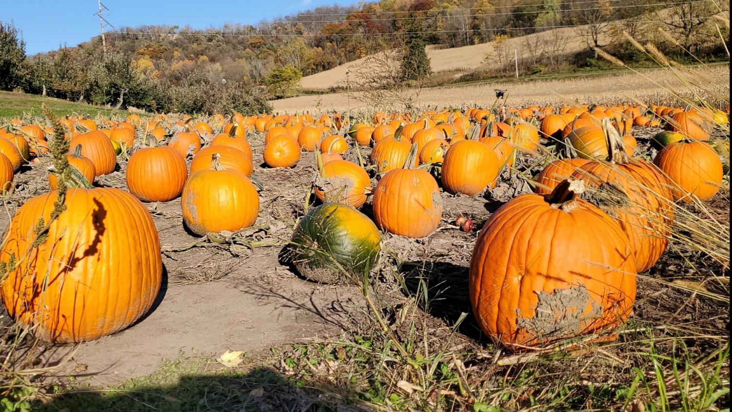 SaHA_Autumn_10_29_20_7