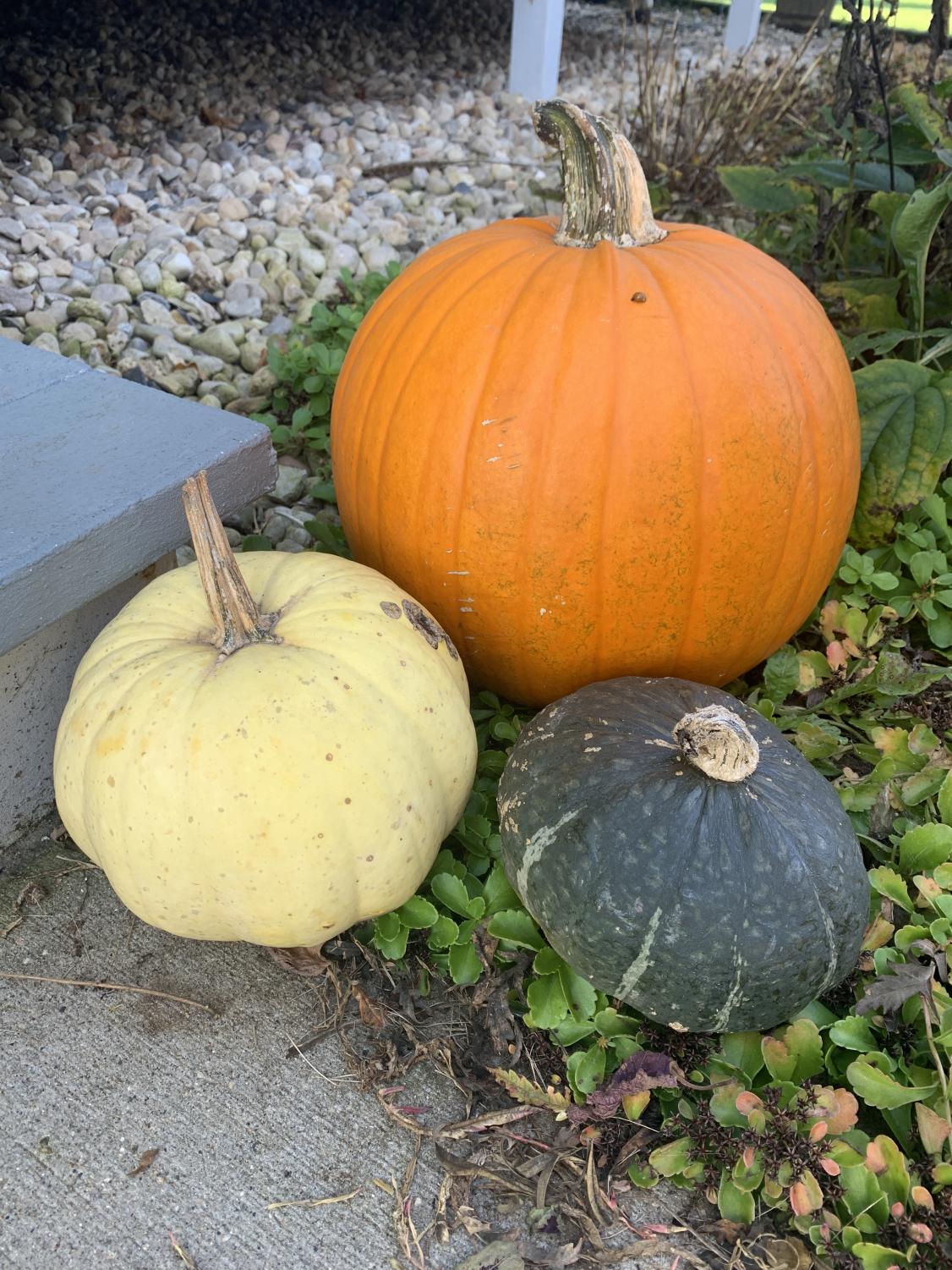 adbr_autumn_1009_4