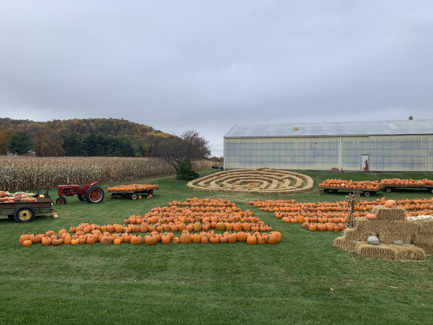 adbr_autumn_1011_9