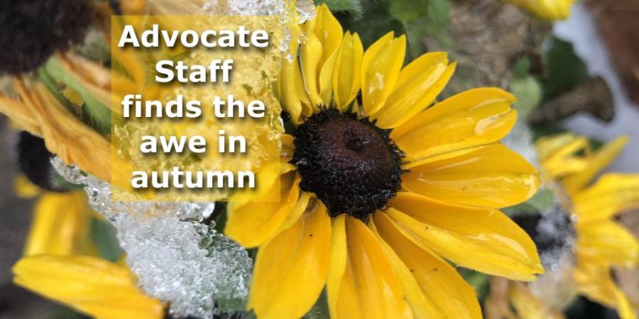 The Advocate Staff finds the awe in autumn
