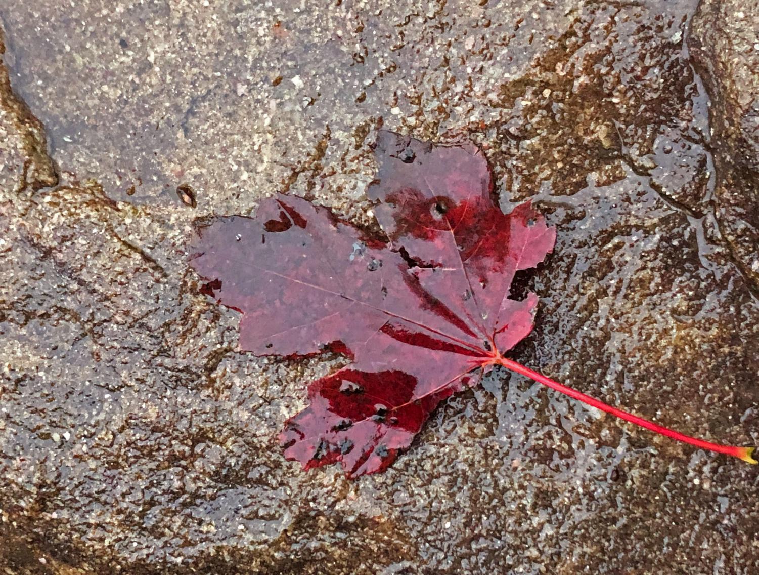 evsc_autumn_1022_1