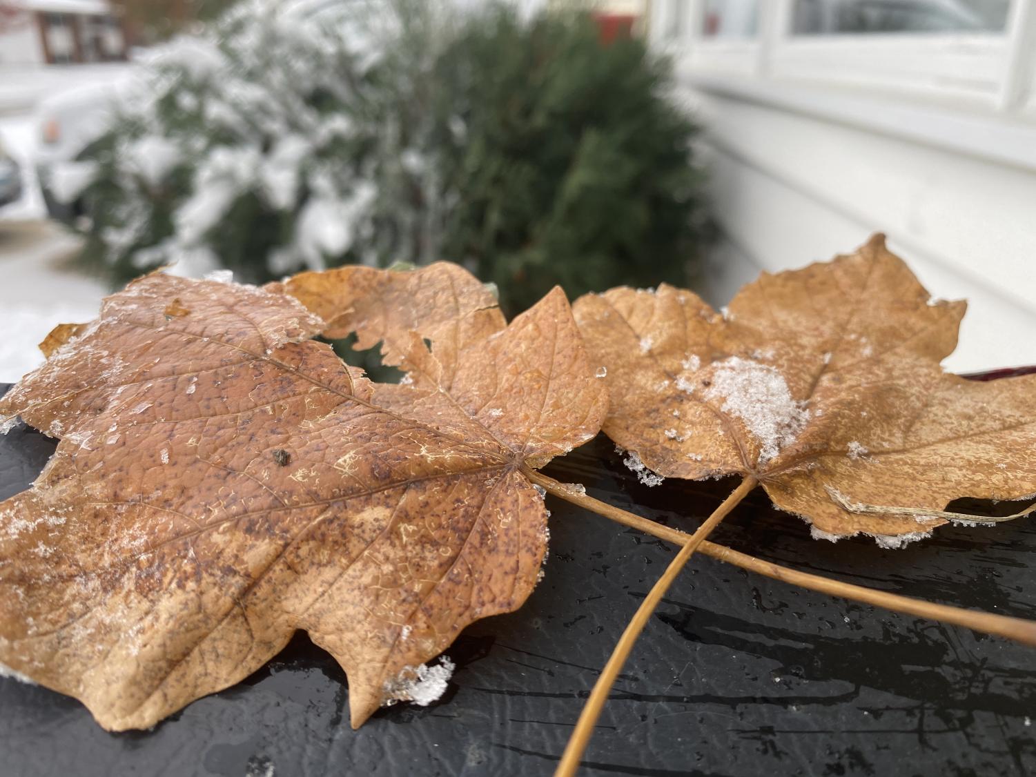 gial_autumn_0925_10