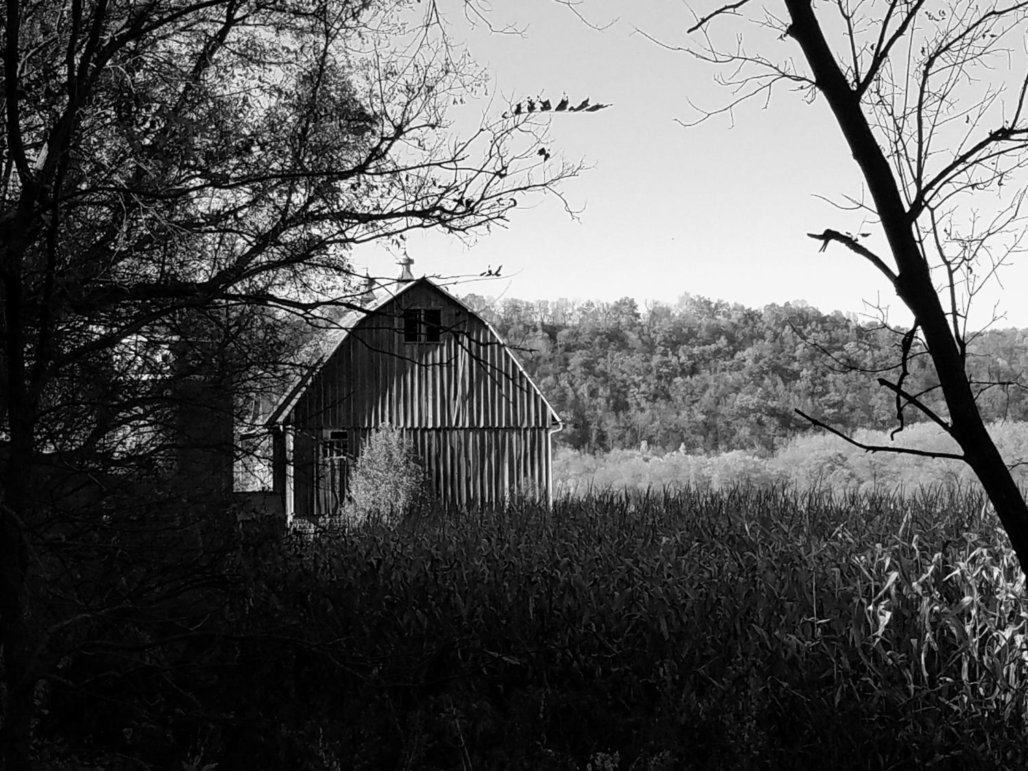 inkn_autumn_1028_3
