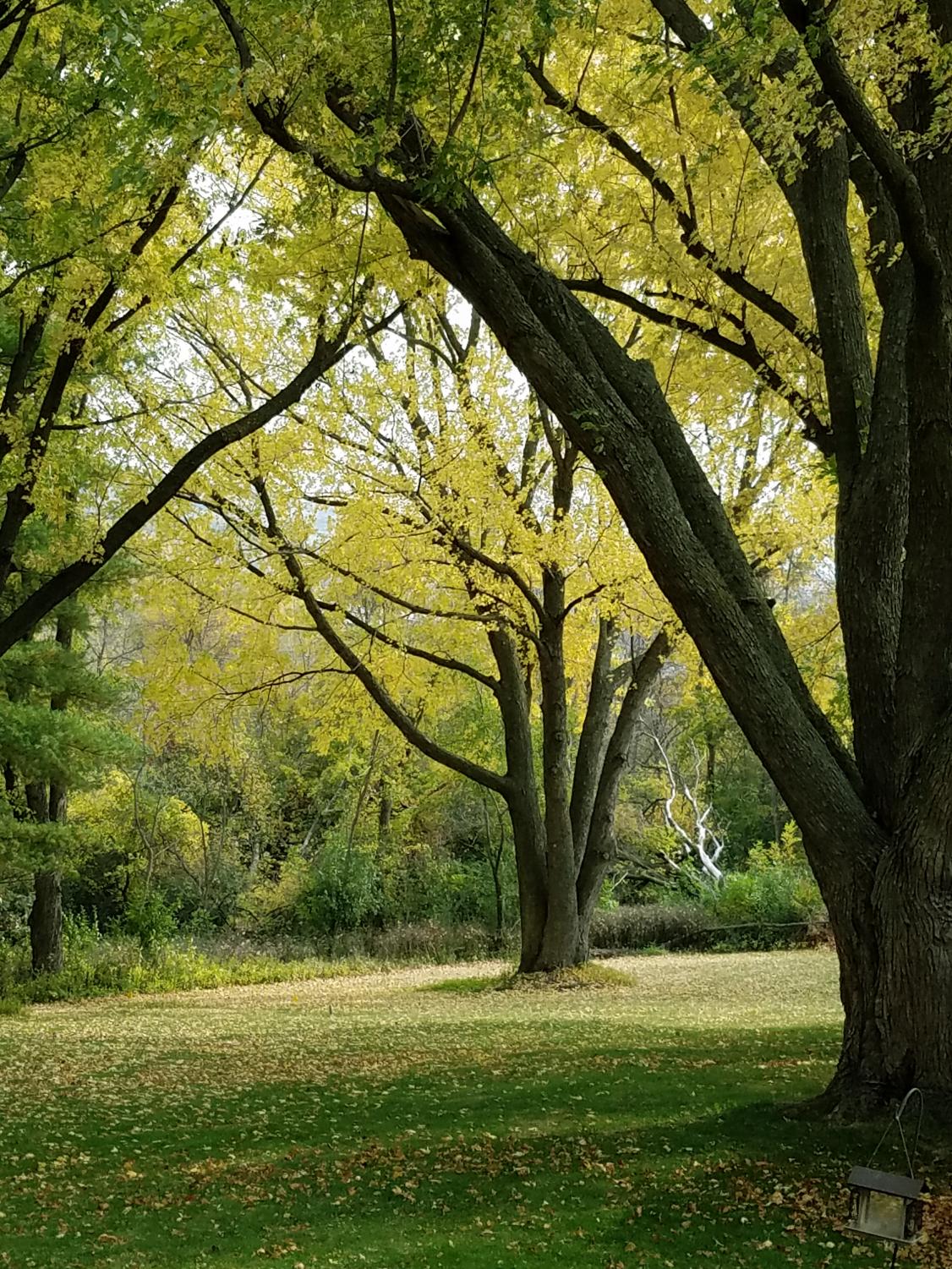 inkn_autumn_1028_4