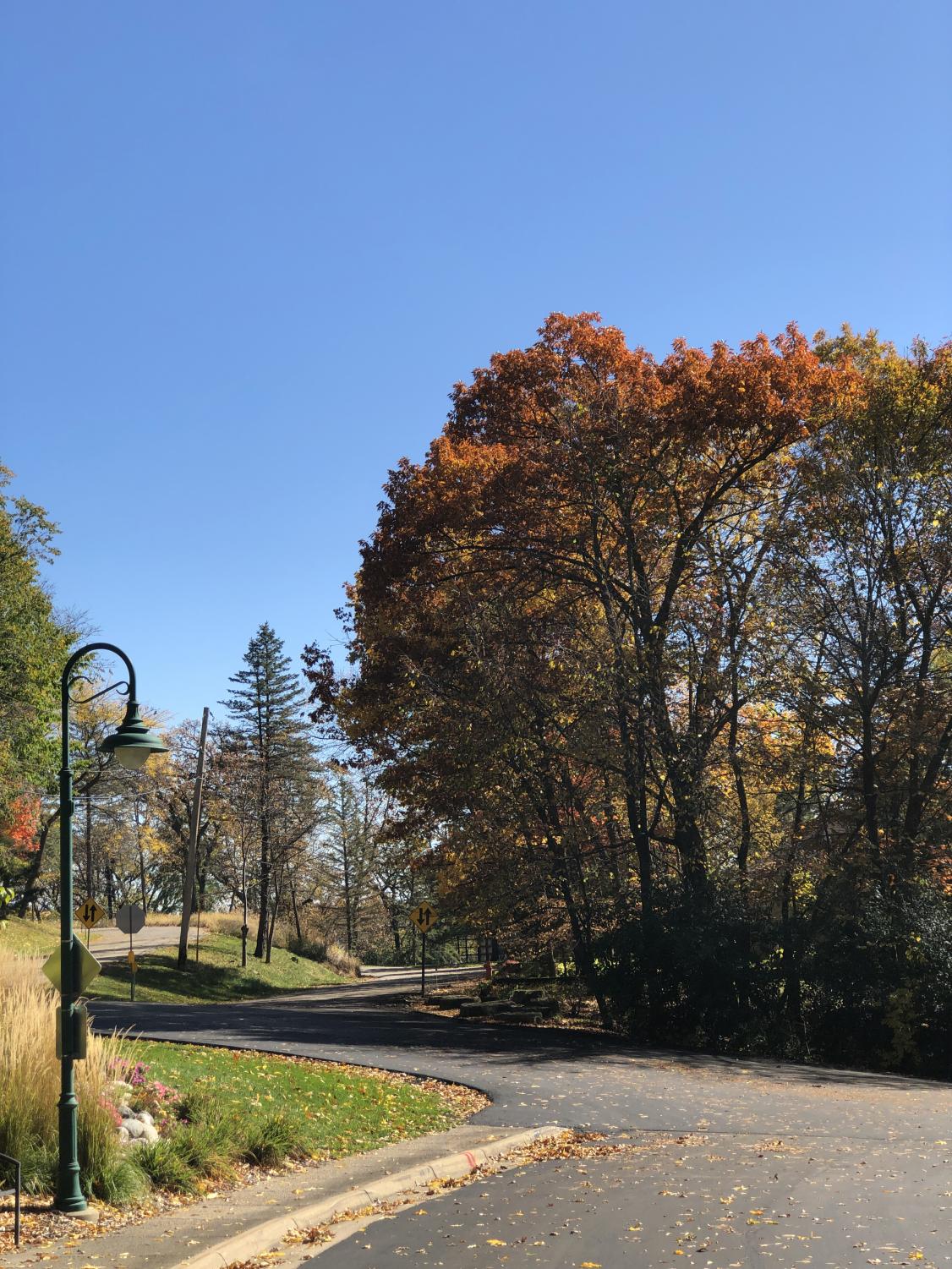 juos_Autumn_1022_10