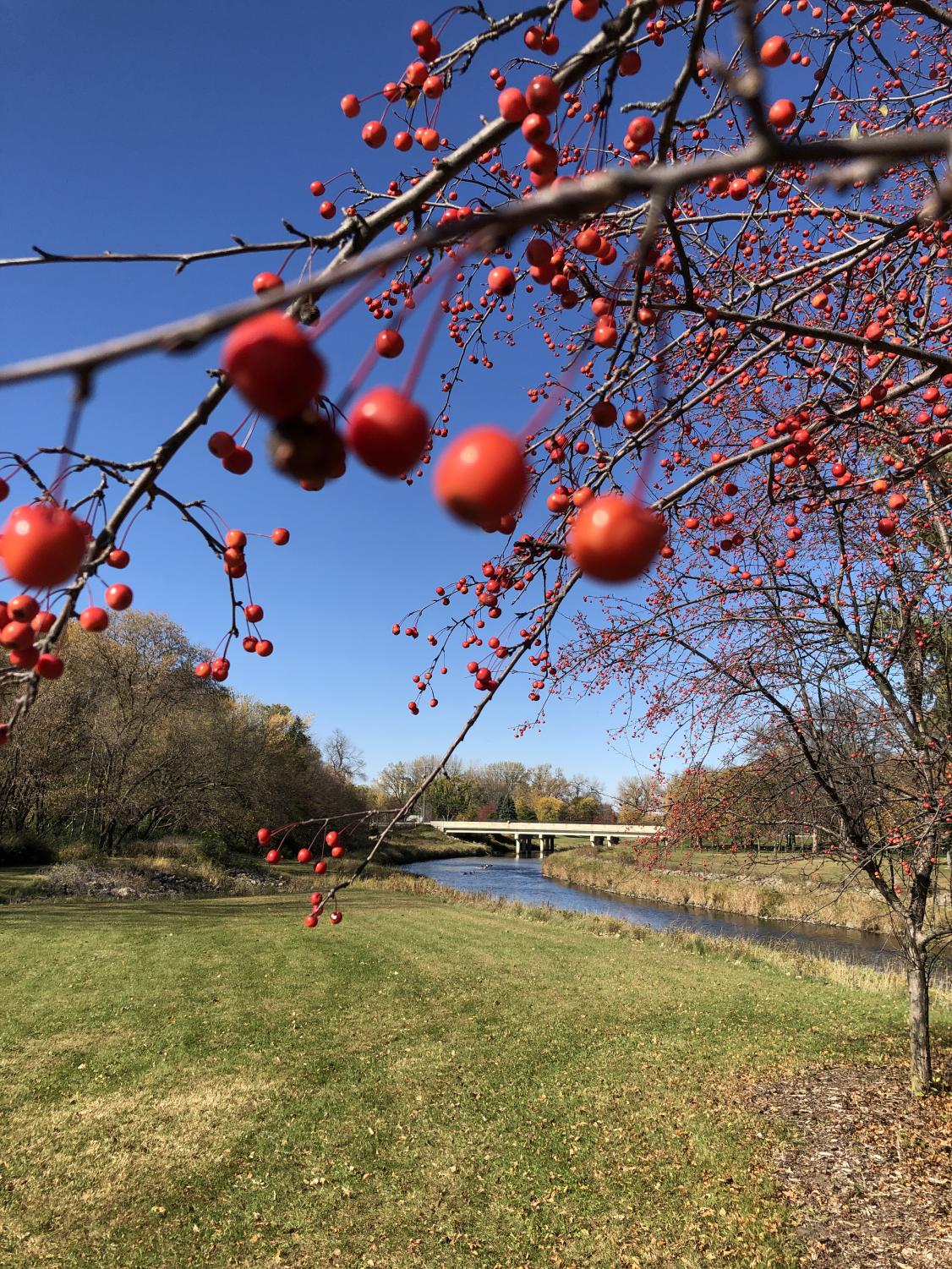 juos_Autumn_1022_4