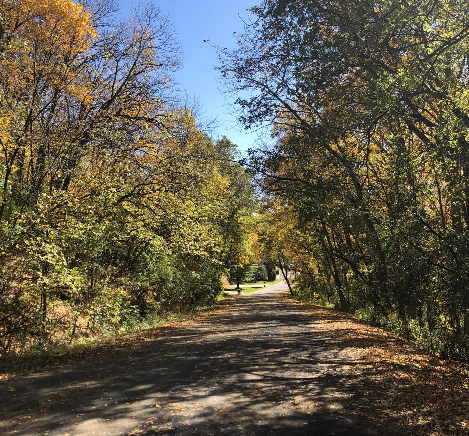 juos_Autumn_1022_8 cr