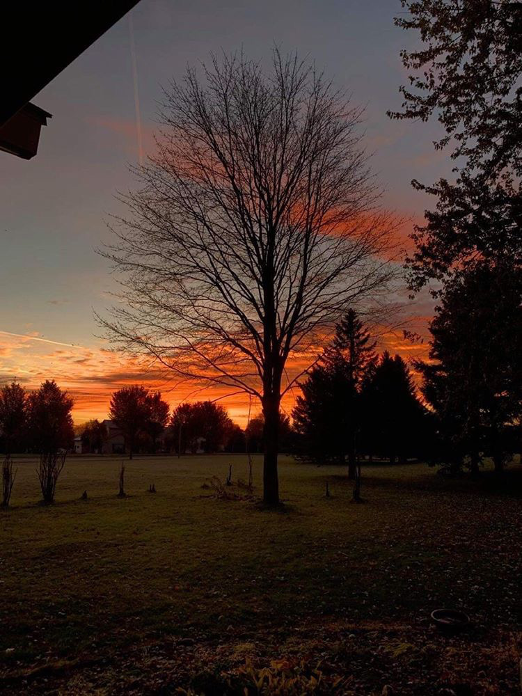 sida_autumn_1026_5