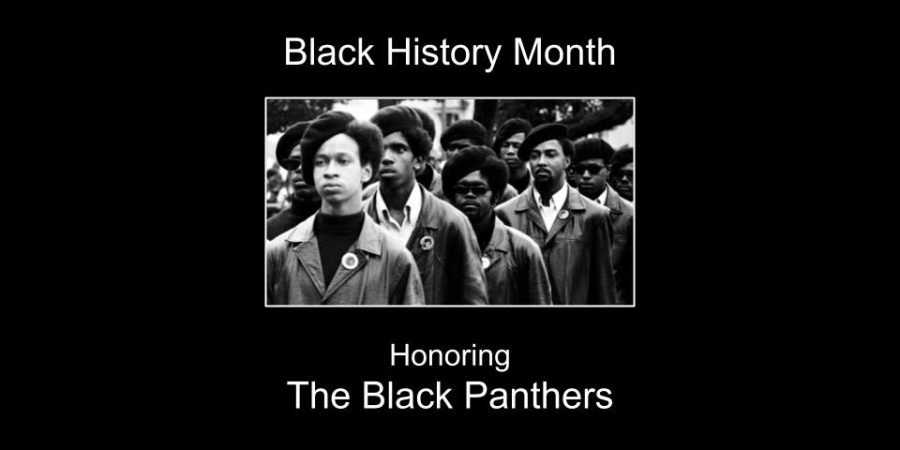 The Black Panthers: A Revolutionary Party