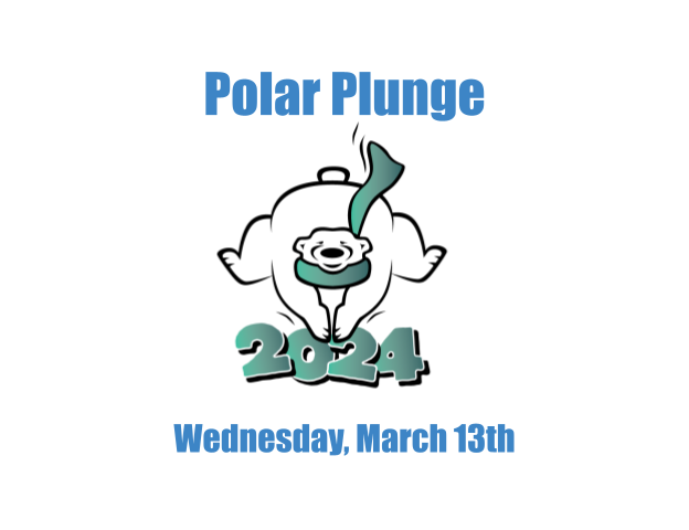 Polar Plunge: Into the water together
